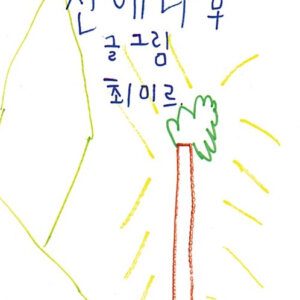 신에 나무