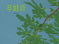 갤러리게시판 테스트
