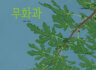 갤러리게시판 테스트